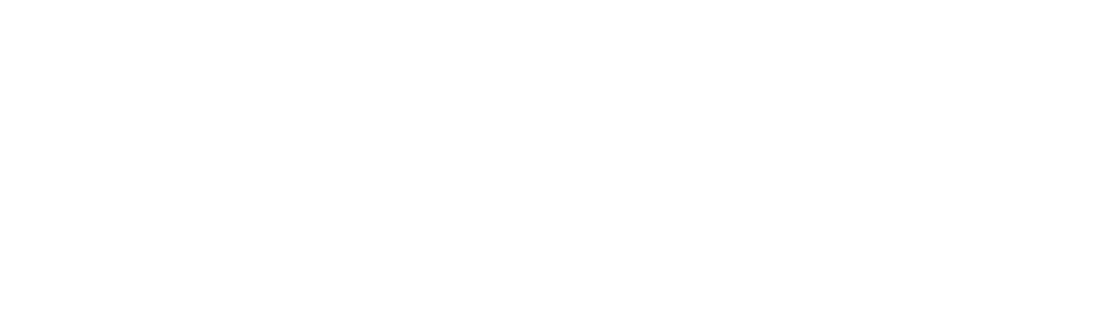 Primary logo, reversed