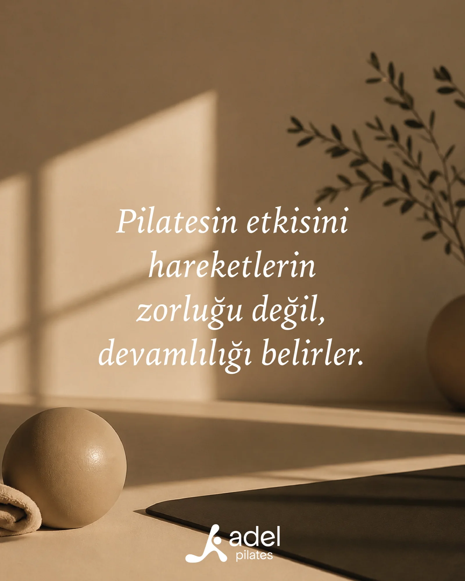 Adel Pilates — posts