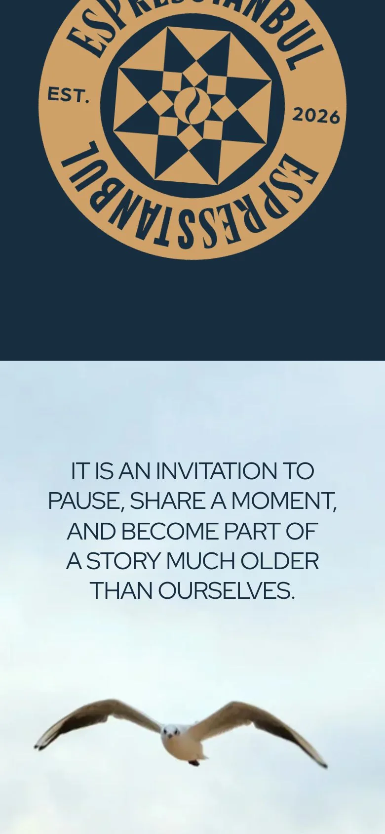 Espresstanbul — website on mobile