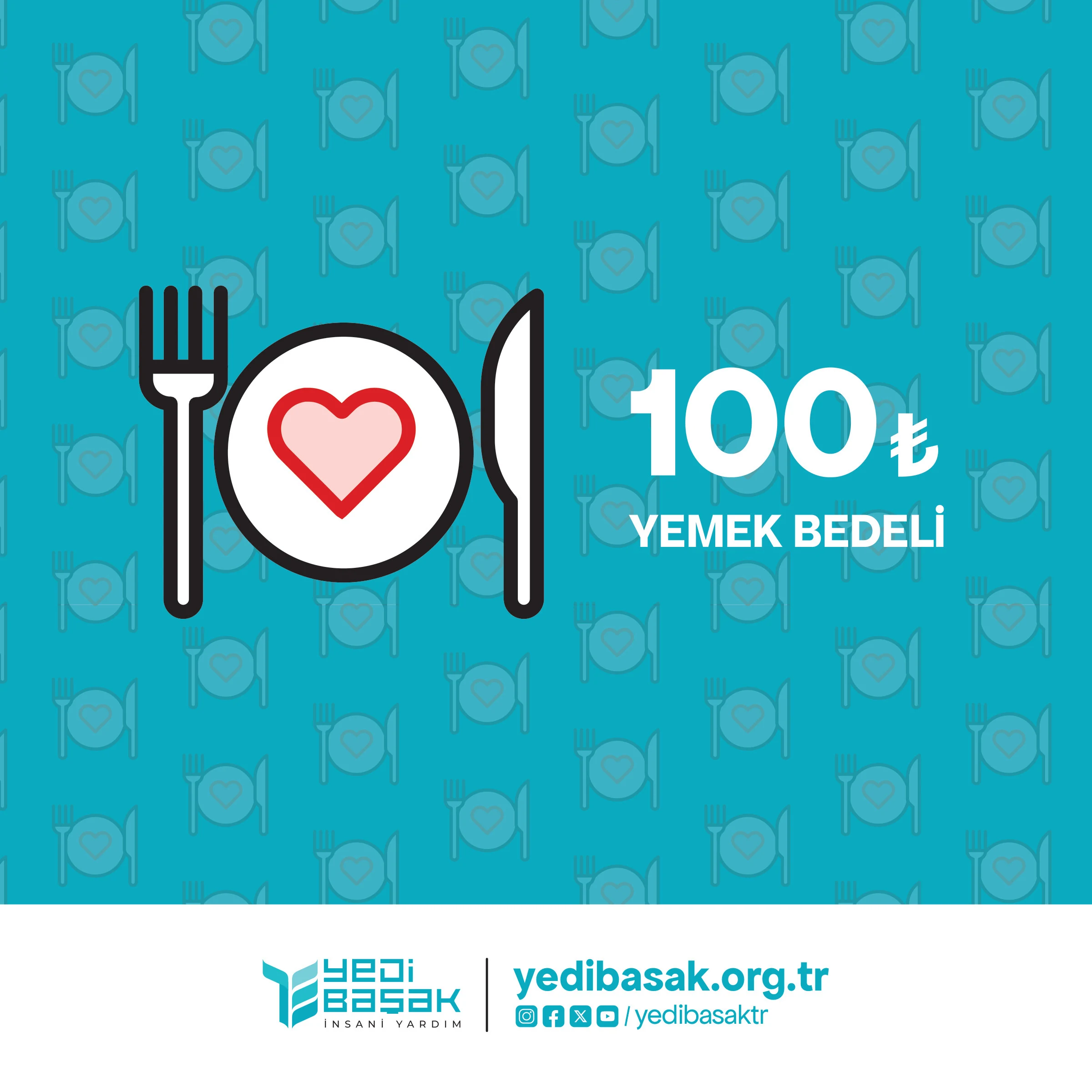 Yedi Başak İnsani Yardım — Gaza campaign