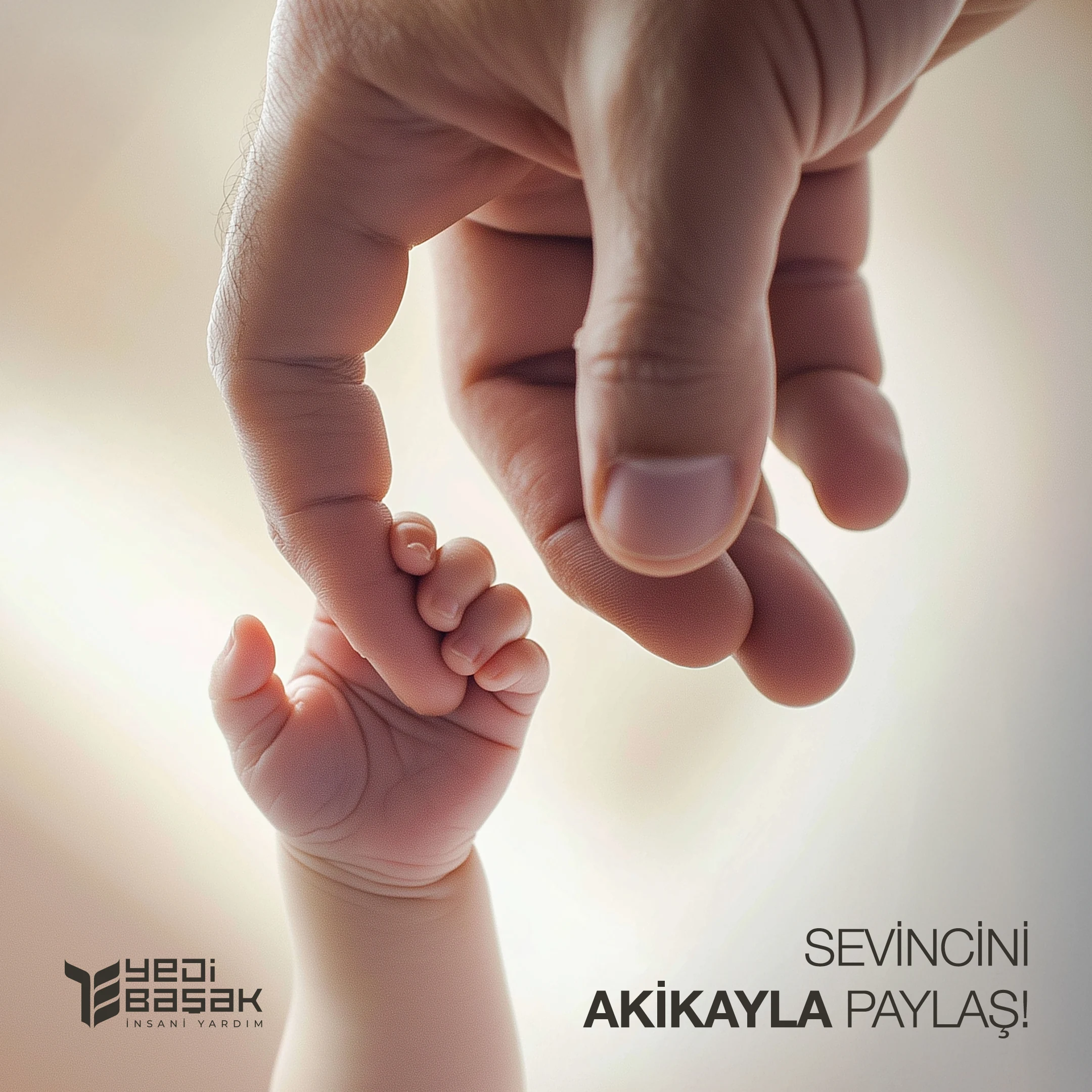Yedi Başak — campaign posters